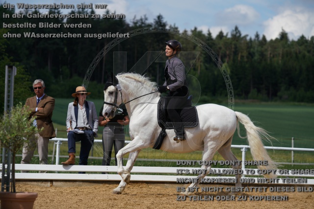 s_K3F04751.JPG